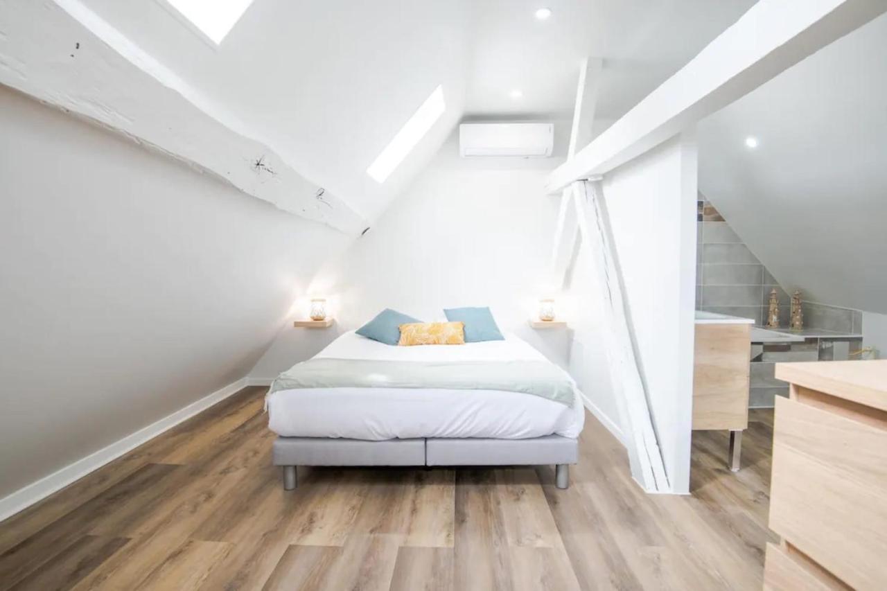 Comfortable Air-Conditioned T3 In The Heart Of Amboise With Parking Space Exterior foto