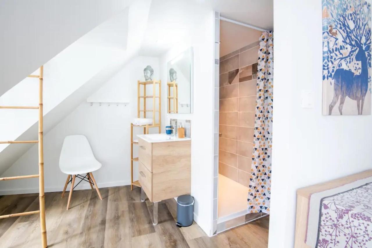 Comfortable Air-Conditioned T3 In The Heart Of Amboise With Parking Space Exterior foto